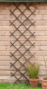 Primrose Black Bamboo Expandable Trellis Privacy Screening Fencing W90cm x H180cm