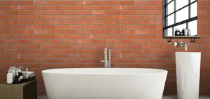 Ibstock Tradesman Light Rustic Blend Brick 65mm Mini Pack 250