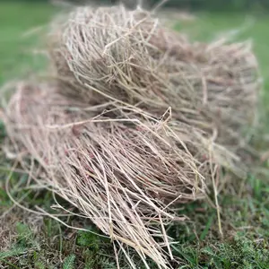 Wooden Hedgehog House Hogitat With Bark Roof & Nesting Straw