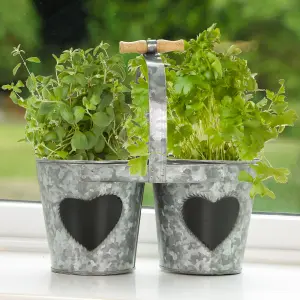 Set of 2 Vintage Zinc Double Kitchen Herb Bucket Planter Indoor Plant Pots