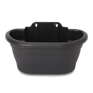 Blooma Florus Black Plastic Oval Trough (H)18cm (W)30cm