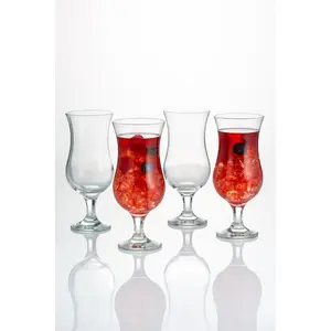 Entertain 420ml Cocktail Glass Set (Set of 2)