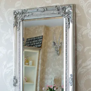 Melody Maison Tall Silver Ornate Mirror 47cm x 142cm