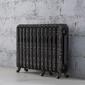 Arroll Daisy Cast iron Silver 12 Column Radiator, (W)814mm x (H)597mm