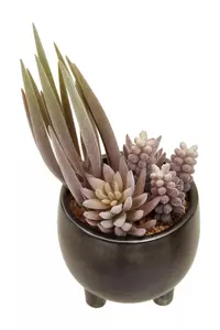 Fiori Mixed Succulents In Ceramic Pot Artificial Plant Foliage