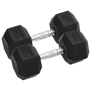 Dumbbells set Fitness Gym Essential 2 pcs 20 kg Cast Iron