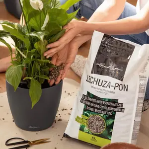 LECHUZA PON Peat-Free Houseplant Potting Mix for Indoor Plants Potting Compost for Plants Indoors 6 Liter