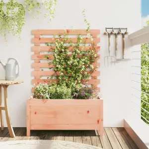 Berkfield Garden Planter with Rack 79x39.5x114 cm Solid Wood Douglas