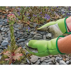 Draper Medium Duty Gardening Gloves, M 82620