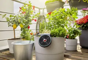 GARDENA Solar-Powered Irrigation AquaBloom Set