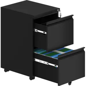 39cm Wide 2 -Drawer Mobile Steel File Cabinet Black