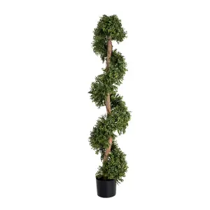 Blooming Artificial - 150cm / 5ft Faux Boxwood Spiral With Stem