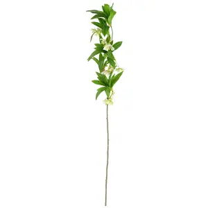 Pack of 6 x 90cm Artificial Hainan Elaeocarpus Stem