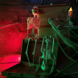 3ft Full Skeleton Halloween Decoration with LED Eyes