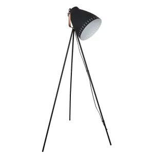 Luminosa Industrial And Retro Floor Lamp Graphite, Red Copper 1 Light  with Graphite Shade, E27