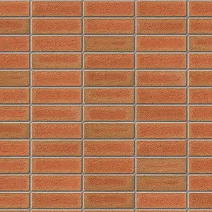 Ibstock Grampian Red Brick 65mm Mini Pack 250