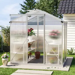 Polycarbonate Greenhouse Walk In Garden Green House with Base Foundation Silver 6x6 ft