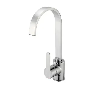 Reginox AMUR Chrome Single Lever Swan Neck Kitchen Mixer Tap