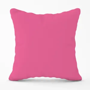 Hot Pink Cushions - 60cm x 60cm