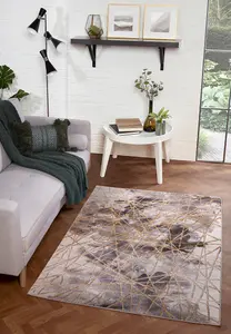 Bianco Rug 185TA Grey/Gold Home Décor