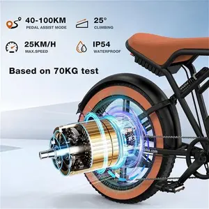 HITWAY 750W Electric Bike For Adults,20X4.0 Fat Tire Off-Road E Bike