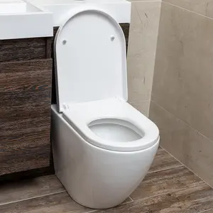 Isaac Back to Wall Toilet with Soft Closing Seat