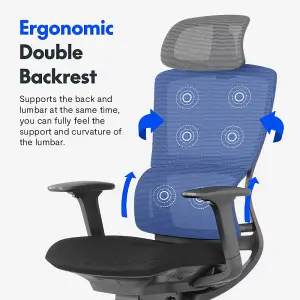 FlexiSpot Ergonomic Office Chair with Double Backrest Lumbar Support in Light Grey