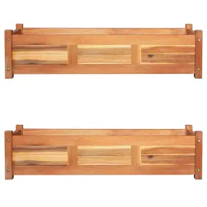 Berkfield Garden Raised Beds 2 pcs Acacia Wood 100x30x25 cm