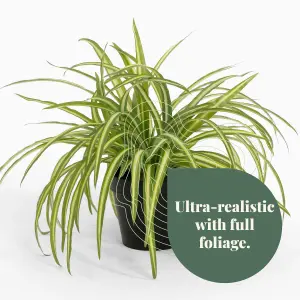 Blooming Artificial - 25cm Faux Spider Plant - Indoor Fake Green Houseplant