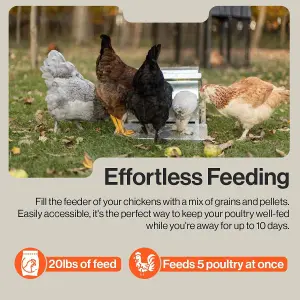 SuperHandy Chicken Feeder Automatic Spill Proof Galvanized Steel Bird Prevention for Chickens, Pheasants, or Roosters