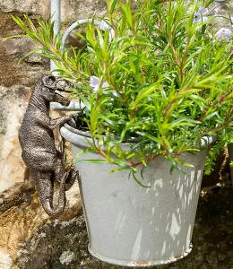 Tyranasaurus Rex Plant Pot Hanger