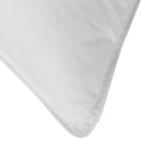 Homescapes Luxury Hotel Quality Super Microfibre Pillow Pair