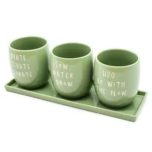 Set of 3 Green Slogan Ceramic Planters with Tray