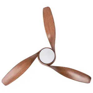 Ceiling Fan with Light Brown PARIA