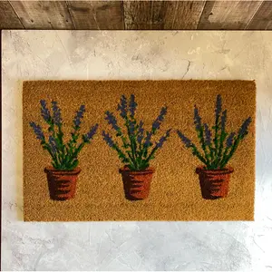 Sprouse Lavender Pots Coir Doormat