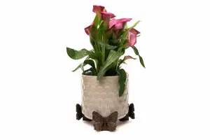 Butterfly Plant Pot Feet - Set of 3