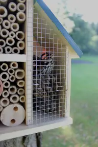 Garden Insect House with Green Roof