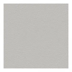 AS Creation 7096-08 Grey Blown Effect Paintable Wallpaper