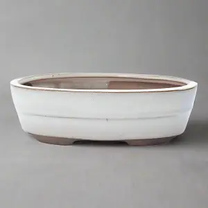 20cm Glazed Bonsai Pot - Oval - 20cm x 17cm x 5cm - White