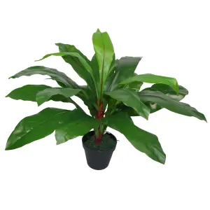 60cm Bushy Large Artificial Bird's Nest Fern Plant