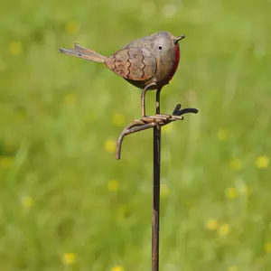 Robin on Stick Metal Garden Ornament British Bird Robins Outdoor Stake