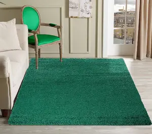 Abaseen 80x150 cm Emeralad Shaggy Rug - Soft Touch Thick Pile Modern Rugs - Washable Area Rugs for Home and Office