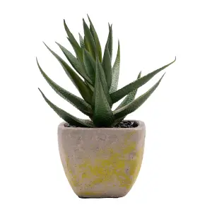 Artificial Succulent Plant in a Grey Pot 15.5cm