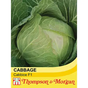 Cabbage Cabbice F1 1 Seed Packet (30 Seeds)