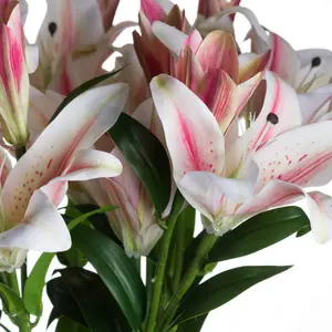 Hill Interiors Stargazer Lily White/Pink (One Size)