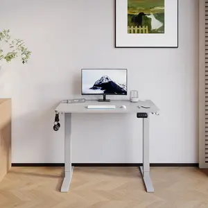 Hieronymus Electric Height Adjustable T-Shape Standing Desk White / Grey / 122 x 100 x 60 cm