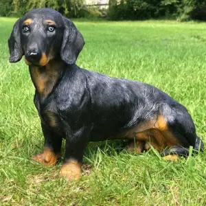 Dachshund figurine, large (34cm long) sitting Dachshund ornament, a great Sausage Dog lover gift, grave marker or memorial