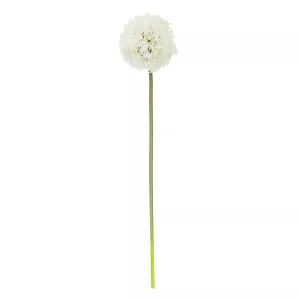 Fiori 72cm Allium Stem Ivory Flower Artificial Plant Foliage