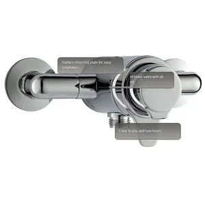 Triton Dene Dual Control Mixer Shower Concentric Thermostatic Exposed Chrome