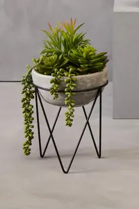 Fiori Mixed Succulent with Metal Stand Artificial Plant Foliage